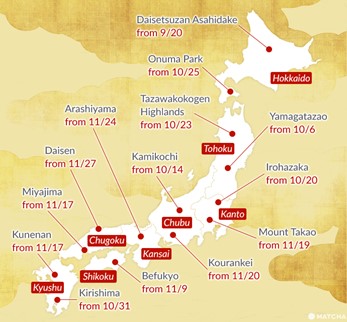 fall leaves japan map